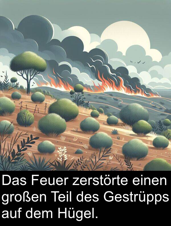 Teil: Das Feuer zerstörte einen großen Teil des Gestrüpps auf dem Hügel.