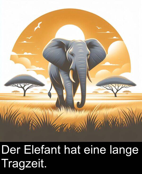 Der: Der Elefant hat eine lange Tragzeit.