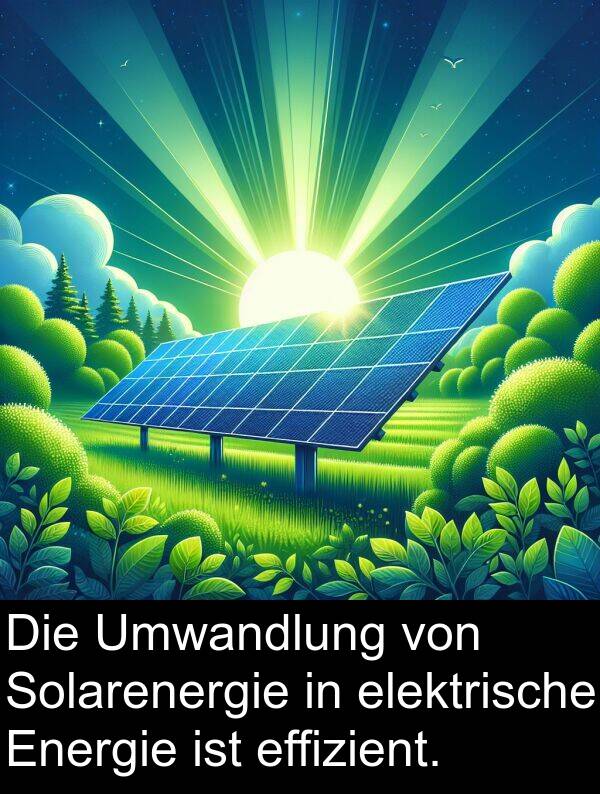 effizient: Die Umwandlung von Solarenergie in elektrische Energie ist effizient.