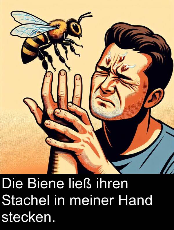 Hand: Die Biene ließ ihren Stachel in meiner Hand stecken.