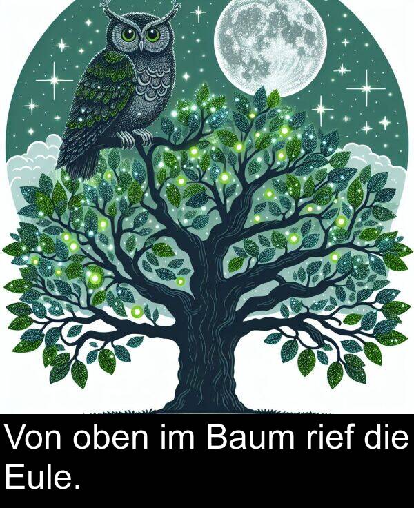 Eule: Von oben im Baum rief die Eule.