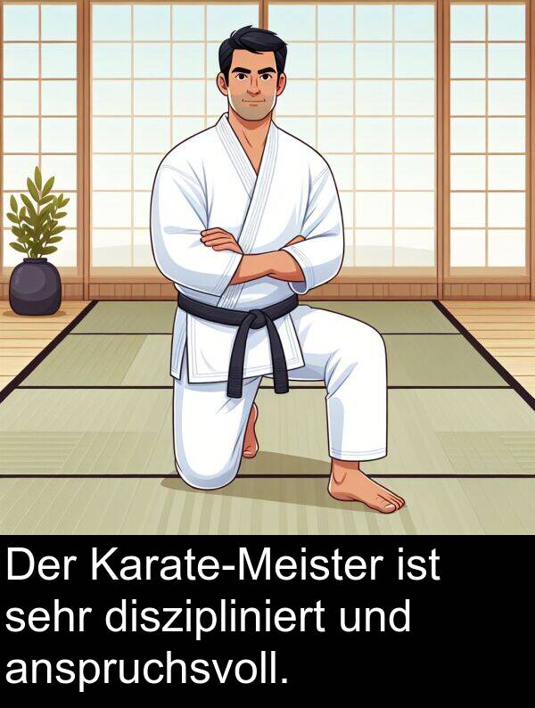 anspruchsvoll: Der Karate-Meister ist sehr diszipliniert und anspruchsvoll.