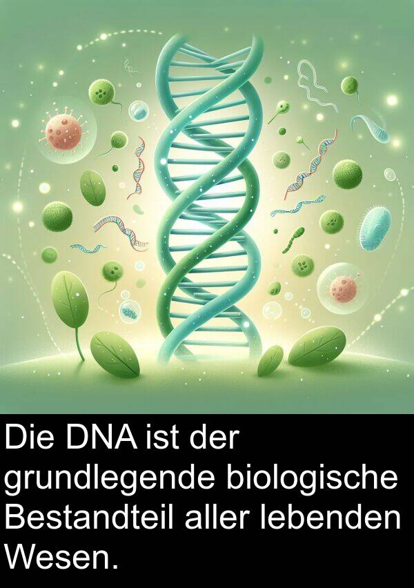 lebenden: Die DNA ist der grundlegende biologische Bestandteil aller lebenden Wesen.