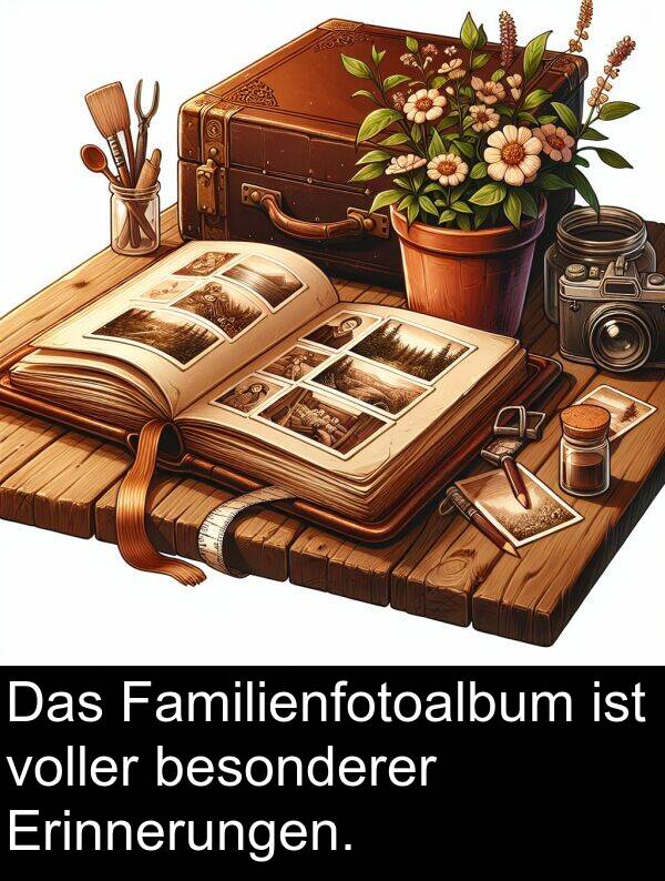 Familienfotoalbum: Das Familienfotoalbum ist voller besonderer Erinnerungen.