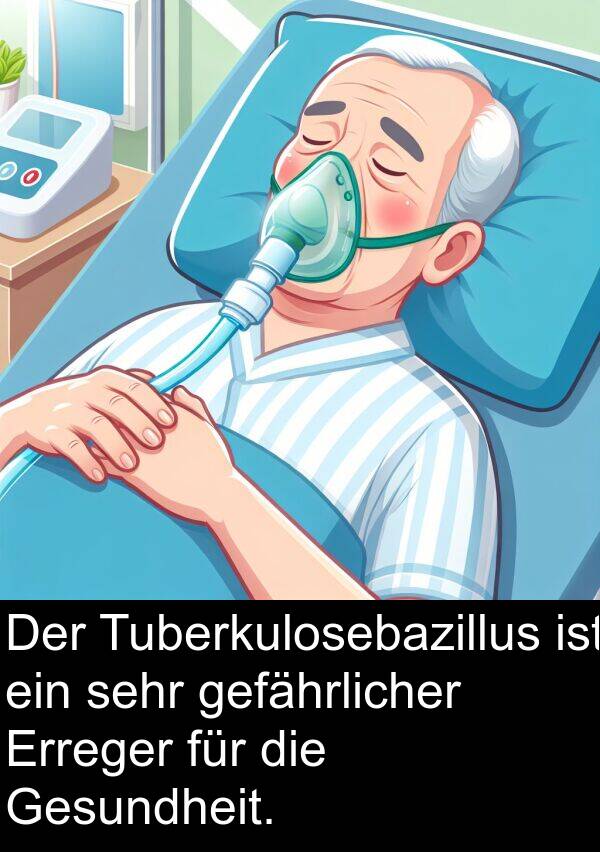 Tuberkulosebazillus: Der Tuberkulosebazillus ist ein sehr gefährlicher Erreger für die Gesundheit.