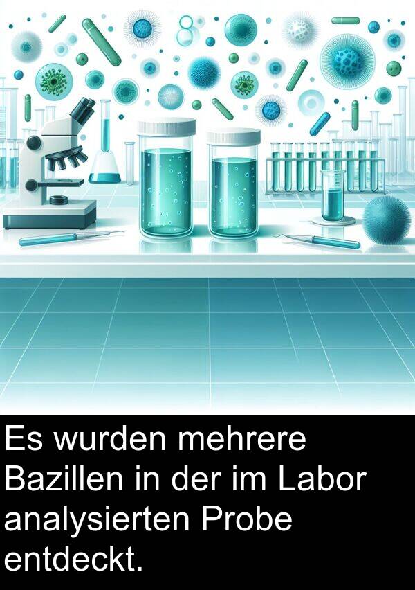 entdeckt: Es wurden mehrere Bazillen in der im Labor analysierten Probe entdeckt.