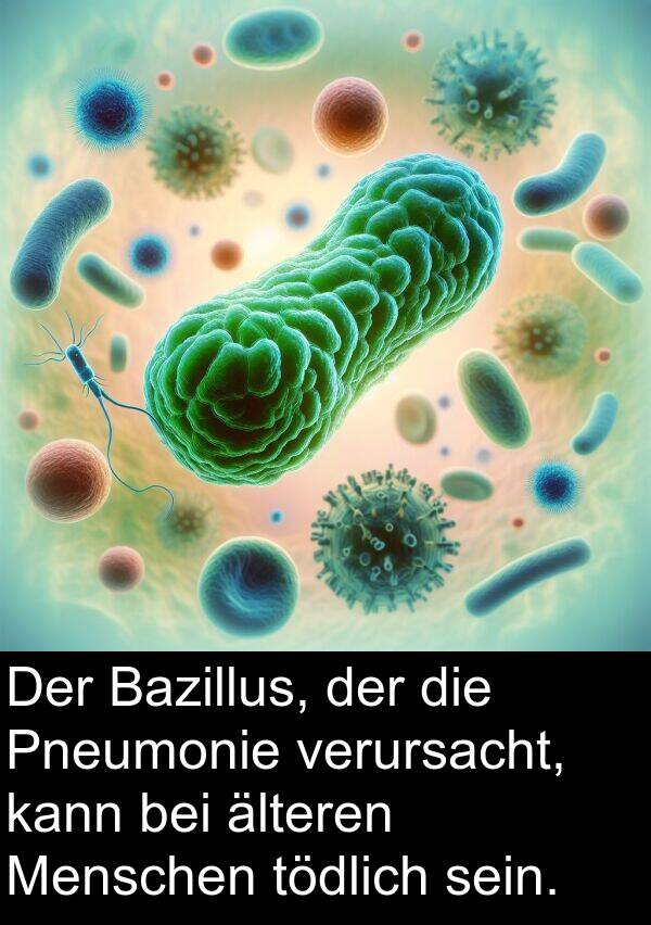 tödlich: Der Bazillus, der die Pneumonie verursacht, kann bei älteren Menschen tödlich sein.