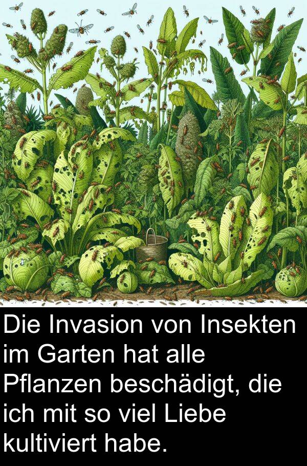 Insekten: Die Invasion von Insekten im Garten hat alle Pflanzen beschädigt, die ich mit so viel Liebe kultiviert habe.