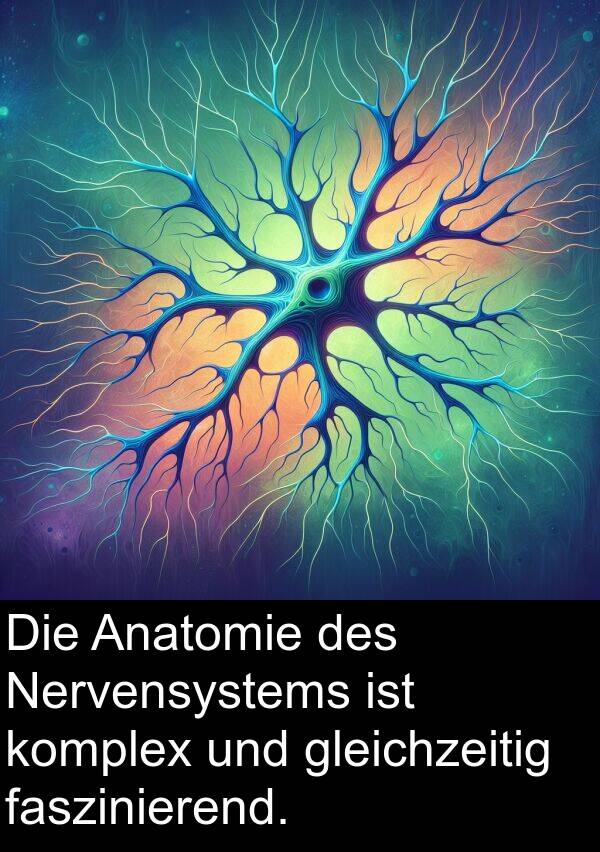 komplex: Die Anatomie des Nervensystems ist komplex und gleichzeitig faszinierend.