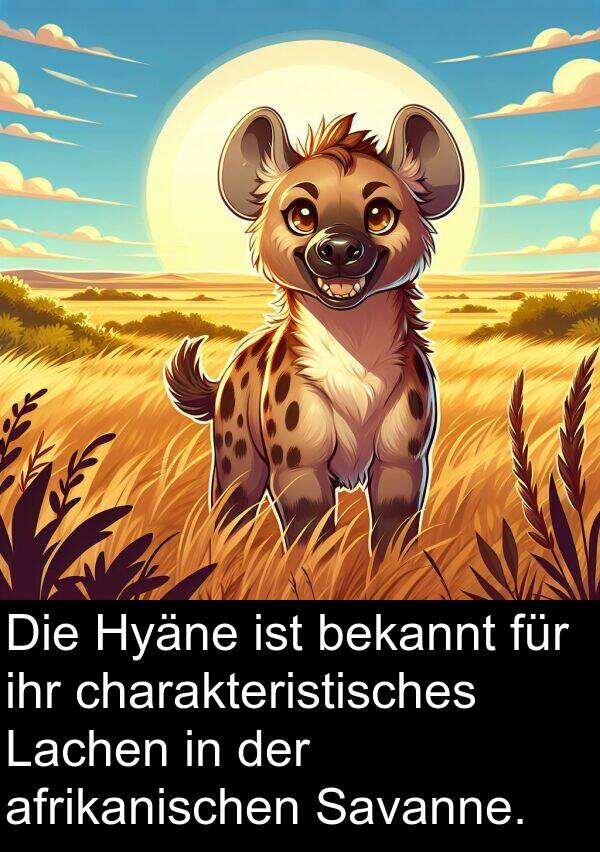 Hyäne: Die Hyäne ist bekannt für ihr charakteristisches Lachen in der afrikanischen Savanne.