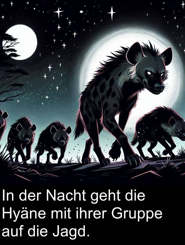 Nacht: In der Nacht geht die Hyäne mit ihrer Gruppe auf die Jagd.