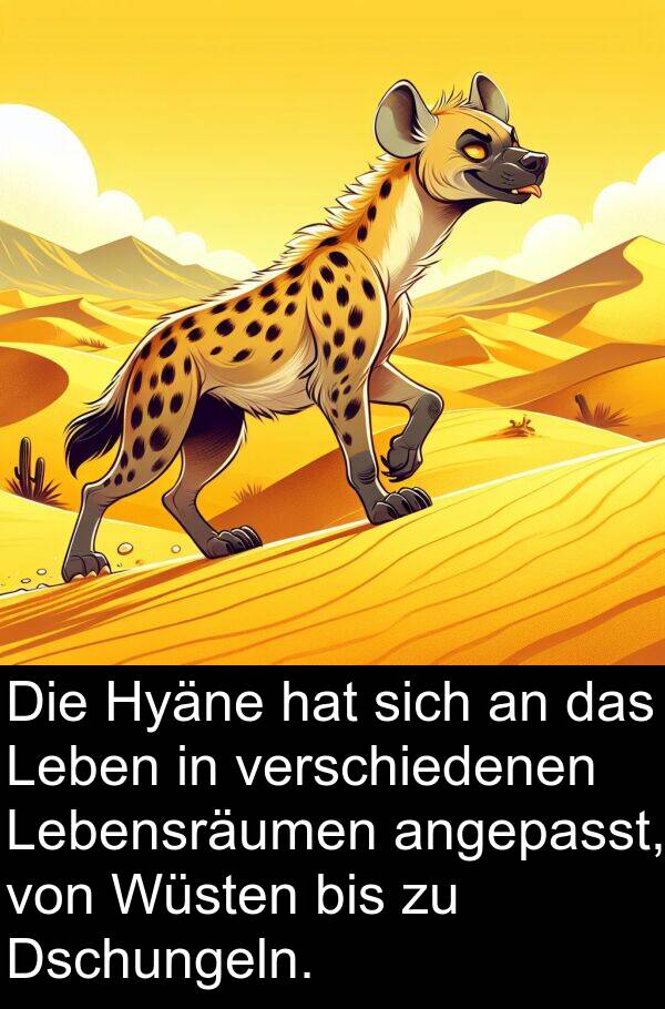 Hyäne: Die Hyäne hat sich an das Leben in verschiedenen Lebensräumen angepasst, von Wüsten bis zu Dschungeln.