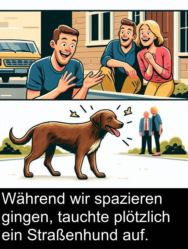 Während: Während wir spazieren gingen, tauchte plötzlich ein Straßenhund auf.