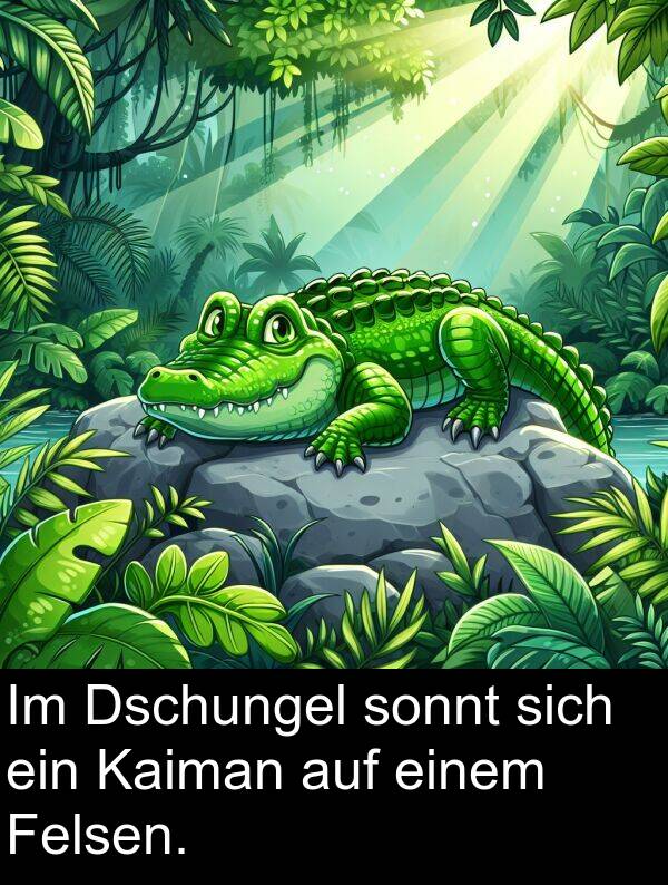 einem: Im Dschungel sonnt sich ein Kaiman auf einem Felsen.