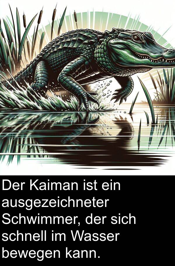 Kaiman: Der Kaiman ist ein ausgezeichneter Schwimmer, der sich schnell im Wasser bewegen kann.