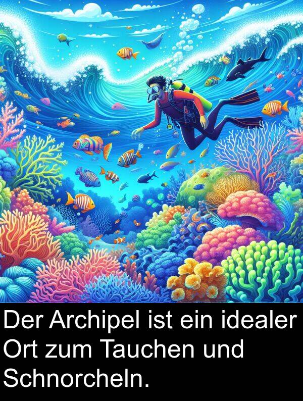 Tauchen: Der Archipel ist ein idealer Ort zum Tauchen und Schnorcheln.