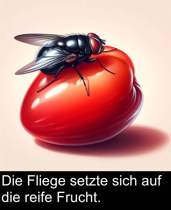 Fliege: Die Fliege setzte sich auf die reife Frucht.