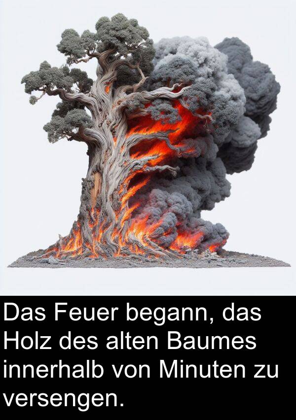 innerhalb: Das Feuer begann, das Holz des alten Baumes innerhalb von Minuten zu versengen.