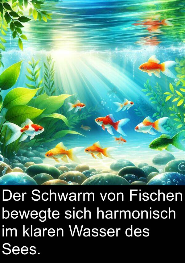 Fischen: Der Schwarm von Fischen bewegte sich harmonisch im klaren Wasser des Sees.