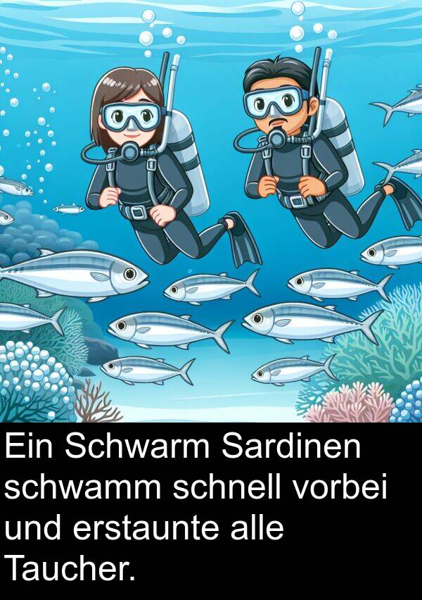 Sardinen: Ein Schwarm Sardinen schwamm schnell vorbei und erstaunte alle Taucher.