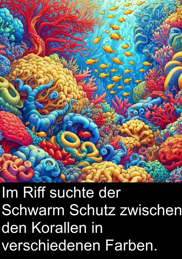 verschiedenen: Im Riff suchte der Schwarm Schutz zwischen den Korallen in verschiedenen Farben.