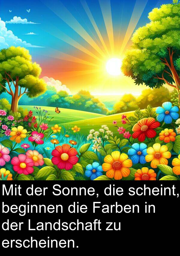 erscheinen: Mit der Sonne, die scheint, beginnen die Farben in der Landschaft zu erscheinen.