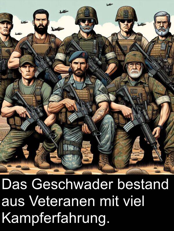 Kampferfahrung: Das Geschwader bestand aus Veteranen mit viel Kampferfahrung.