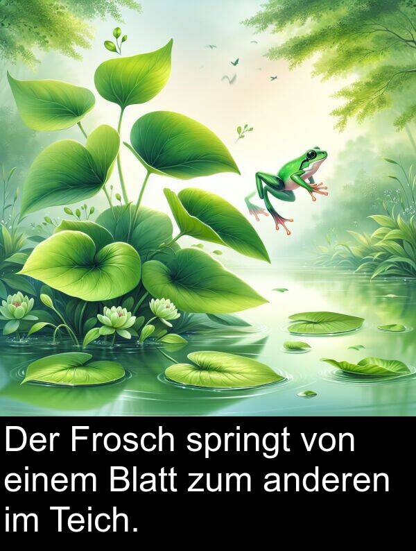 einem: Der Frosch springt von einem Blatt zum anderen im Teich.