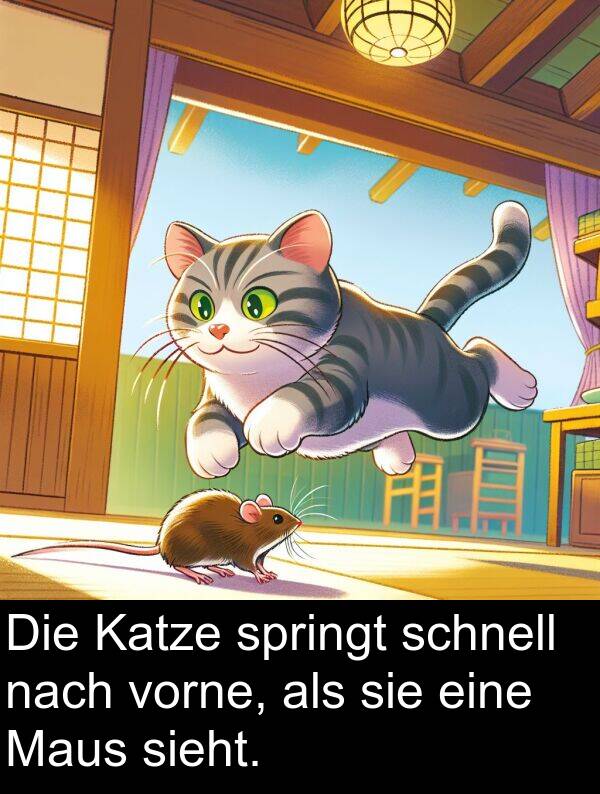 Katze: Die Katze springt schnell nach vorne, als sie eine Maus sieht.