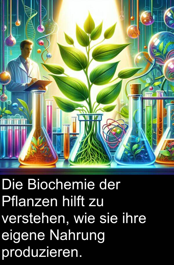 eigene: Die Biochemie der Pflanzen hilft zu verstehen, wie sie ihre eigene Nahrung produzieren.