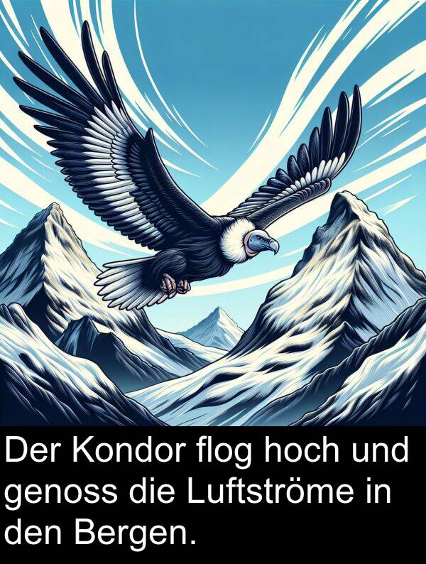 hoch: Der Kondor flog hoch und genoss die Luftströme in den Bergen.