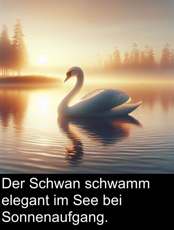 See: Der Schwan schwamm elegant im See bei Sonnenaufgang.