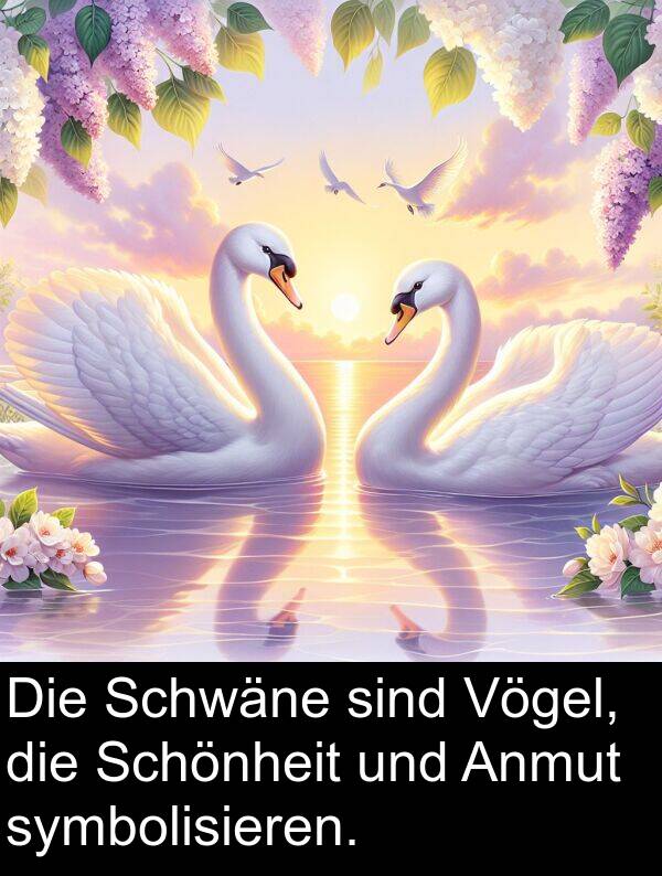 Anmut: Die Schwäne sind Vögel, die Schönheit und Anmut symbolisieren.