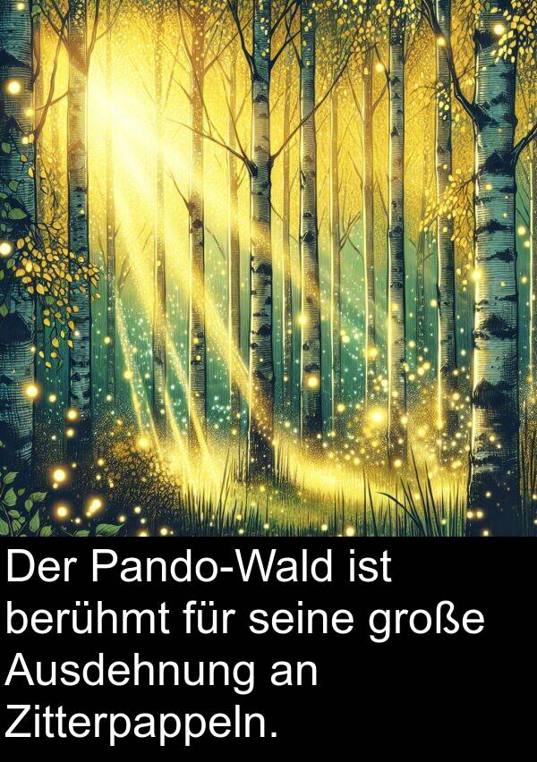 berühmt: Der Pando-Wald ist berühmt für seine große Ausdehnung an Zitterpappeln.