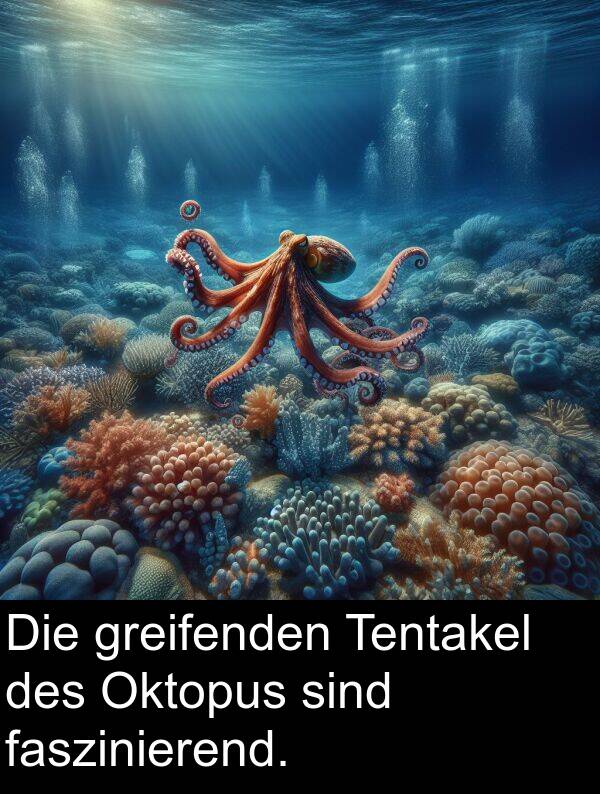 sind: Die greifenden Tentakel des Oktopus sind faszinierend.