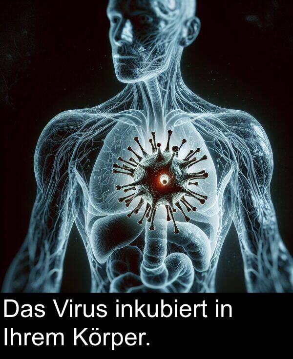 Ihrem: Das Virus inkubiert in Ihrem Körper.