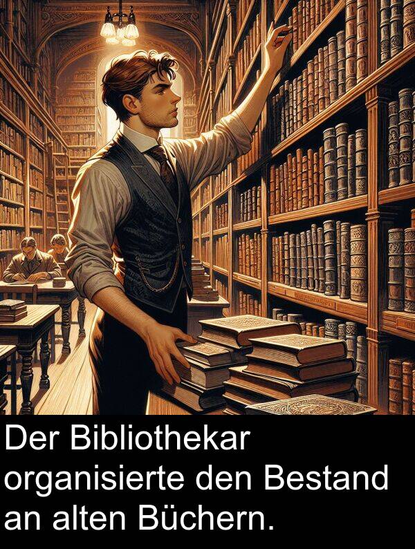 alten: Der Bibliothekar organisierte den Bestand an alten Büchern.