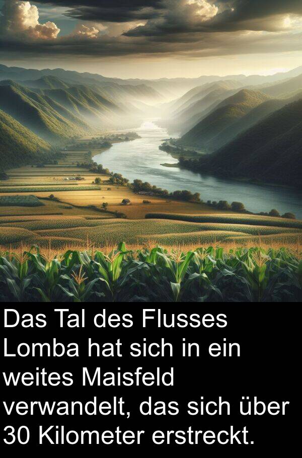 Kilometer: Das Tal des Flusses Lomba hat sich in ein weites Maisfeld verwandelt, das sich über 30 Kilometer erstreckt.