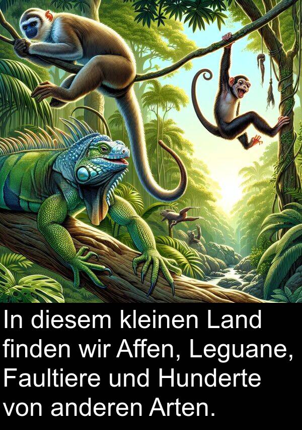 Land: In diesem kleinen Land finden wir Affen, Leguane, Faultiere und Hunderte von anderen Arten.