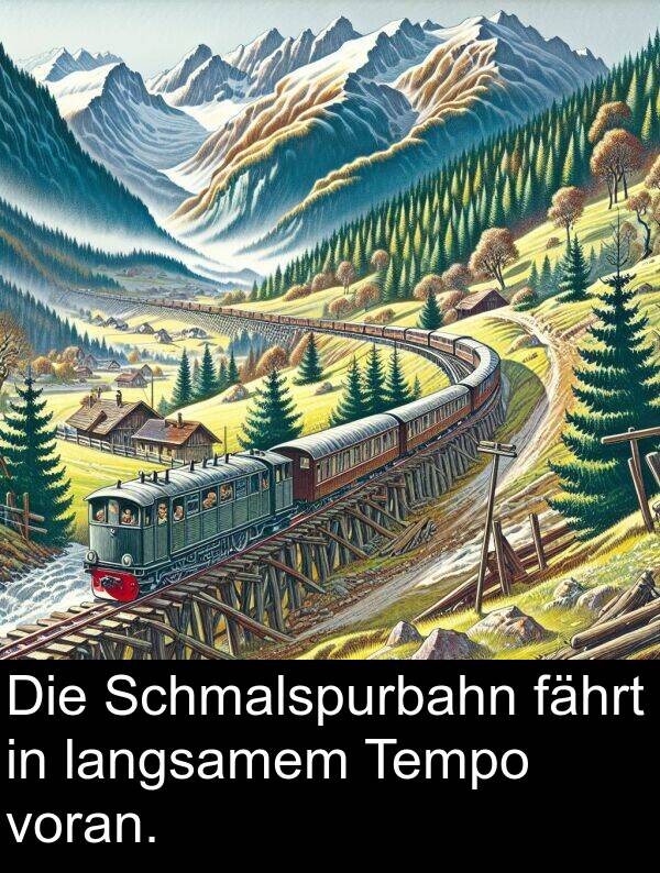 langsamem: Die Schmalspurbahn fährt in langsamem Tempo voran.