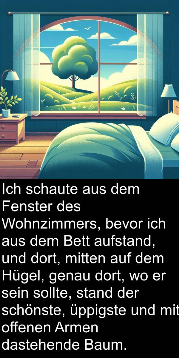 genau: Ich schaute aus dem Fenster des Wohnzimmers, bevor ich aus dem Bett aufstand, und dort, mitten auf dem Hügel, genau dort, wo er sein sollte, stand der schönste, üppigste und mit offenen Armen dastehende Baum.