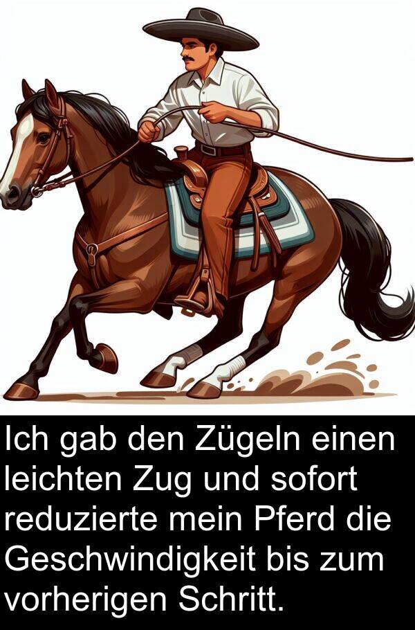 Pferd: Ich gab den Zügeln einen leichten Zug und sofort reduzierte mein Pferd die Geschwindigkeit bis zum vorherigen Schritt.