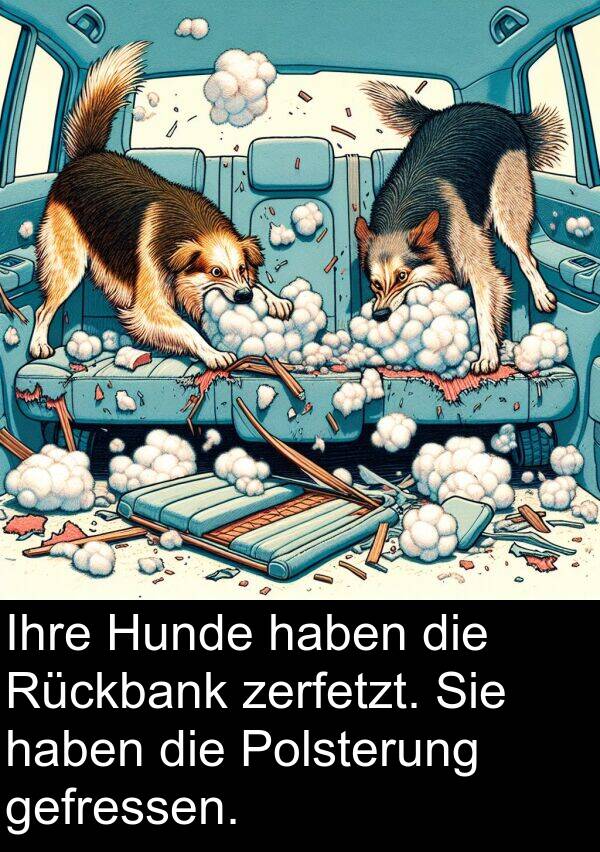 Ihre: Ihre Hunde haben die Rückbank zerfetzt. Sie haben die Polsterung gefressen.