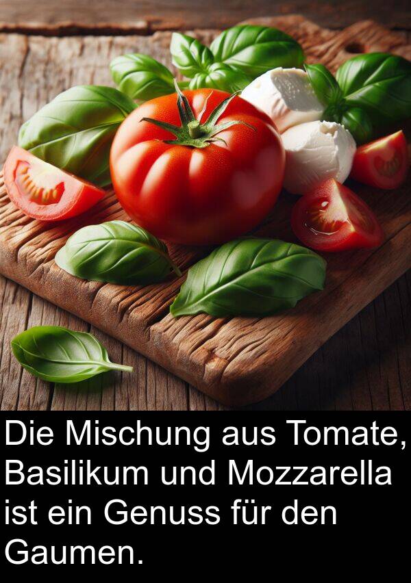 Gaumen: Die Mischung aus Tomate, Basilikum und Mozzarella ist ein Genuss für den Gaumen.