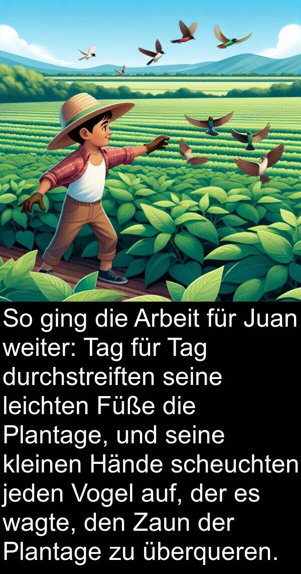 Füße: So ging die Arbeit für Juan weiter: Tag für Tag durchstreiften seine leichten Füße die Plantage, und seine kleinen Hände scheuchten jeden Vogel auf, der es wagte, den Zaun der Plantage zu überqueren.