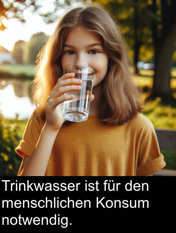 für: Trinkwasser ist für den menschlichen Konsum notwendig.