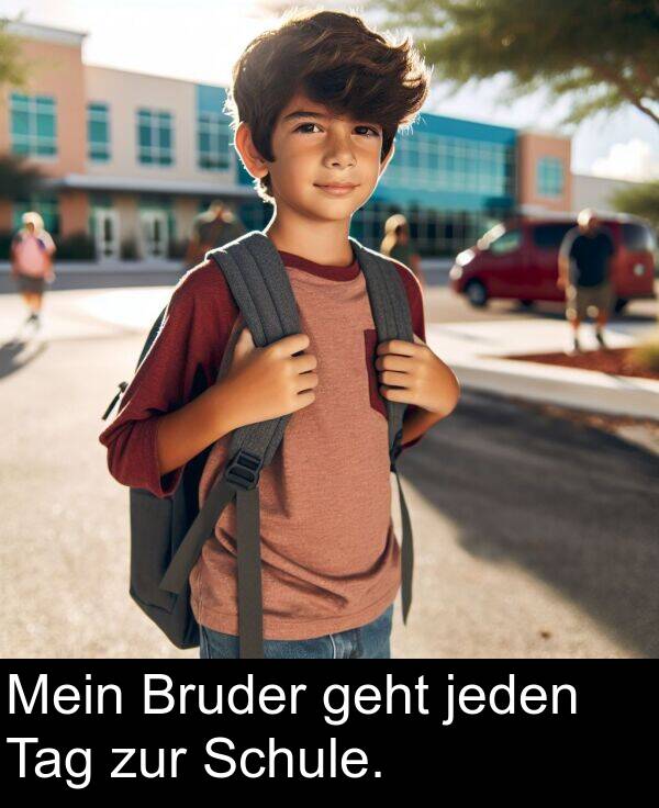 jeden: Mein Bruder geht jeden Tag zur Schule.