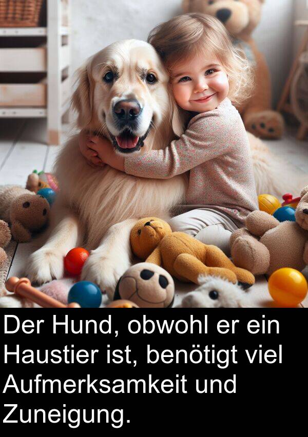 obwohl: Der Hund, obwohl er ein Haustier ist, benötigt viel Aufmerksamkeit und Zuneigung.