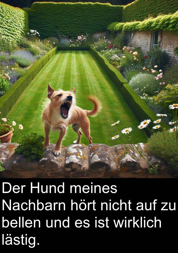 Nachbarn: Der Hund meines Nachbarn hört nicht auf zu bellen und es ist wirklich lästig.