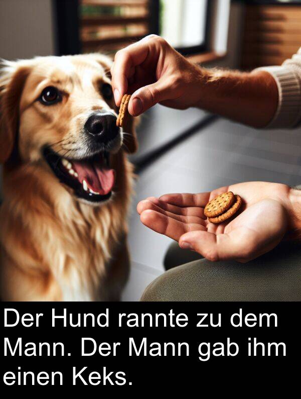 rannte: Der Hund rannte zu dem Mann. Der Mann gab ihm einen Keks.